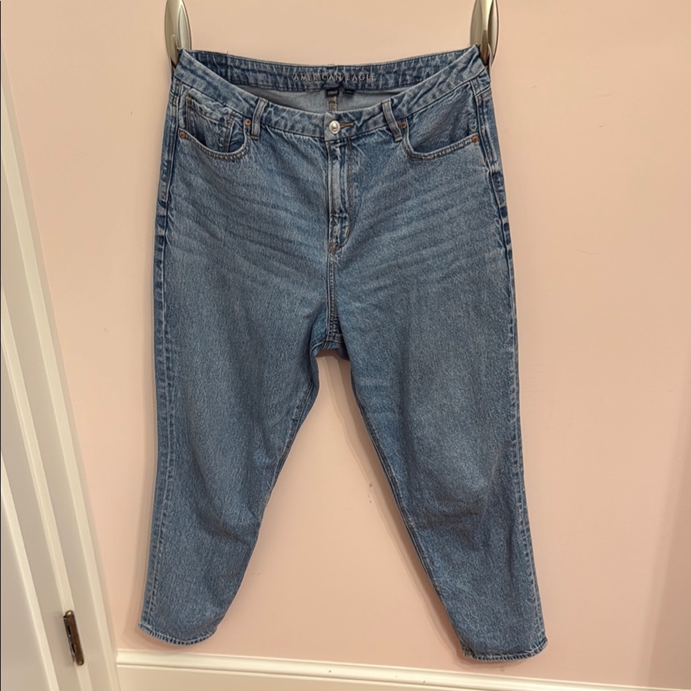 American Eagle Outfitters Light Blue Ankle Jeans